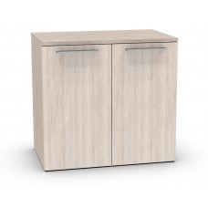 Dual Bin Pull Out Waste Cabinet